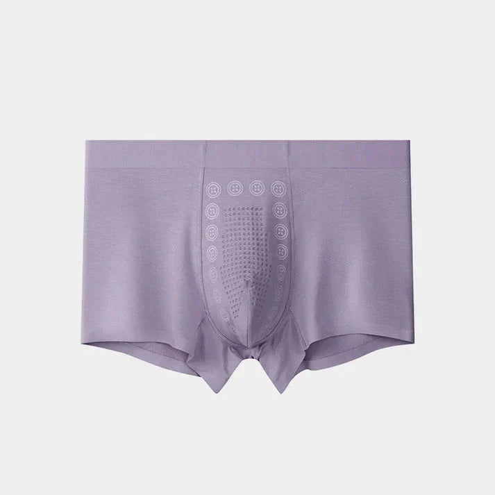 Men s Ice Silk Briefs Boxers _ Buy 1 Get 2 Free only Just Rs.499